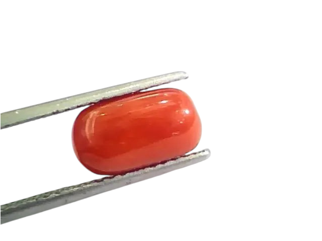 4.22 Ct 4.68 Ratti Untreated Natural Italian Red Coral Moonga Gemstone AA - Venus Gems