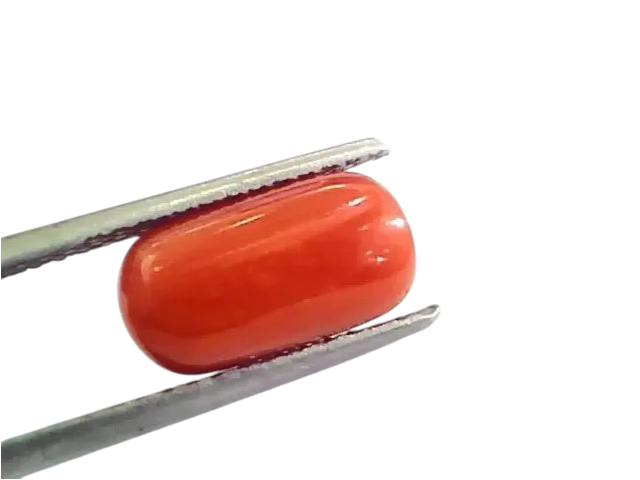 4.53 Ct 5.03 Ratti Untreated Natural Italian Red Coral Moonga Gemstone AA - Venus Gems