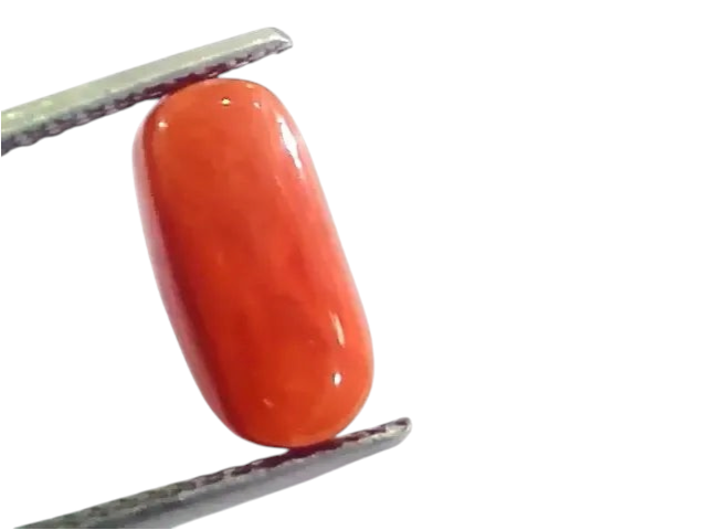 4.83 Ct 5.36 Ratti Untreated Natural Italian Red Coral Moonga Gemstone AA - Venus Gems