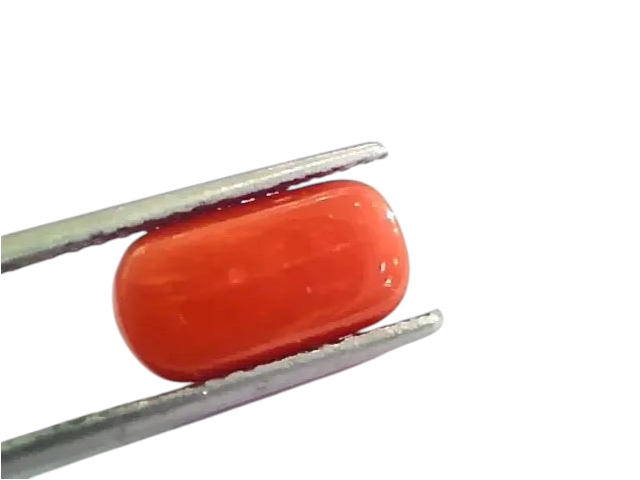 4.53 Ct 5.03 Ratti Untreated Natural Italian Red Coral Moonga Gemstone AA - Venus Gems