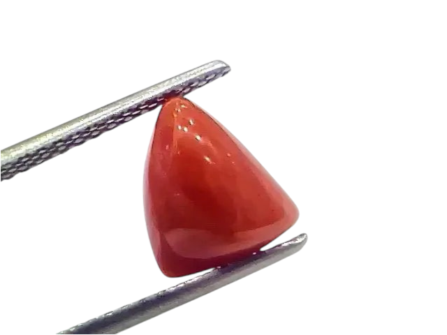 3.97 Ct 4.36 Ratti Natural Italian Triangle Red Coral Moonga Gemstone - Venus Gems