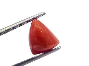 3.97 Ct 4.36 Ratti Natural Italian Triangle Red Coral Moonga Gemstone - Venus Gems