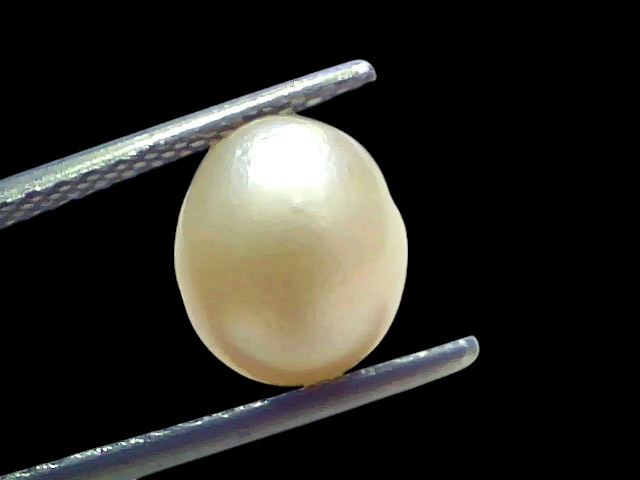 Venus Gems 4.35 carat natural white South Sea pearl held in tweezers against a black background
