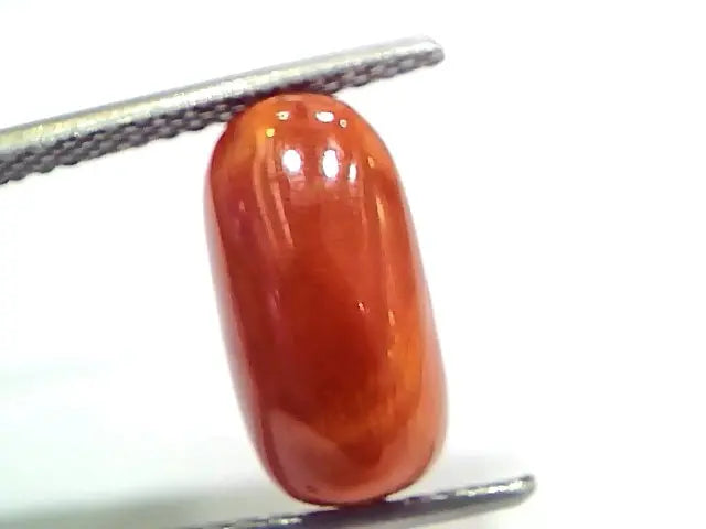 5.07 Ct 8.4 Ratti Natural Untreated Italian Red Coral Moonga Gems