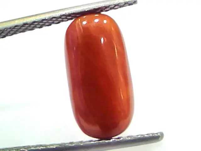 5.07 Ct 8.4 Ratti Natural Untreated Italian Red Coral Moonga Gems