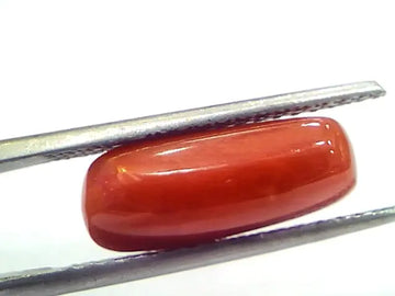 5.08 Ct 5.64 Ratti Natural Untreated Italian Red Coral Moonga Gems