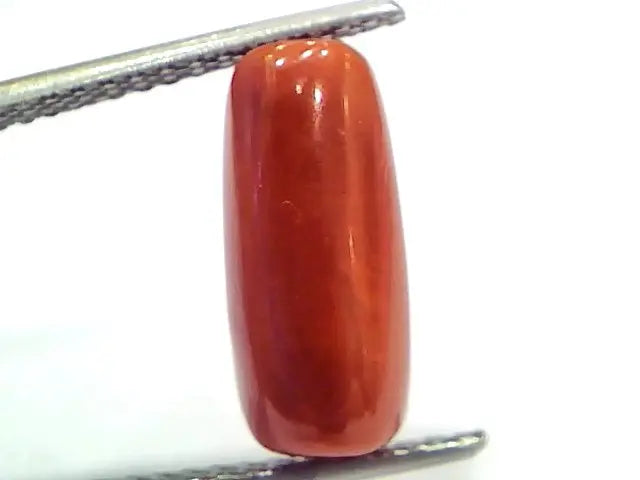 5.10 Ct 8.5 Ratti Natural Untreated Italian Red Coral Moonga Gems
