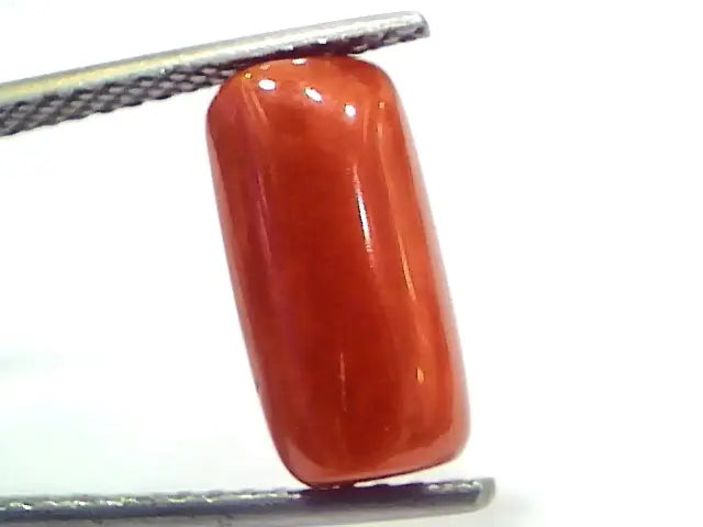 5.13 Ct 8.5 Ratti Natural Untreated Italian Red Coral Moonga Gems