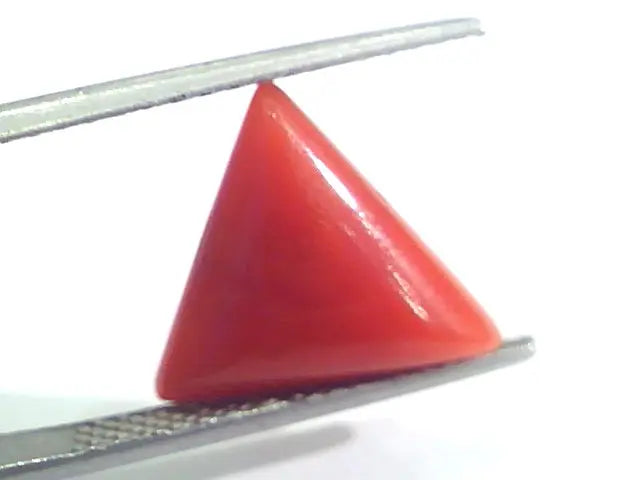 5.05 Ct 8.4 Ratti Natural Italian Triangle Red Coral Moonga Gemstone