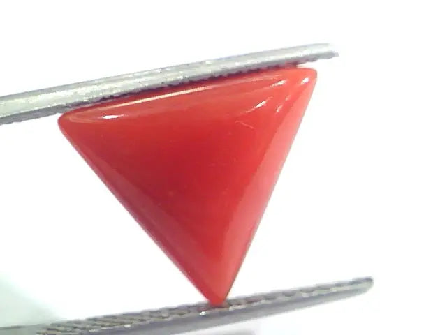 5.05 Ct 8.4 Ratti Natural Italian Triangle Red Coral Moonga Gemstone