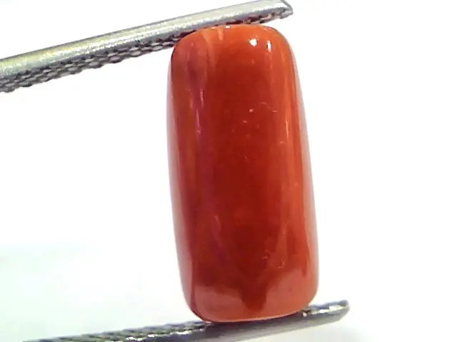 5.13 Ct 8.5 Ratti Natural Untreated Italian Red Coral Moonga Gems