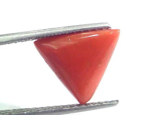 5.07 Ct 8.4 Ratti Natural Italian Triangle Red Coral Moonga Gemstone
