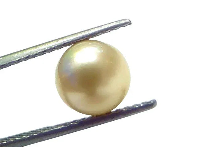 5.14 Ct Natural Certified Real South Sea Pearl Certified Moti - Venus Gems