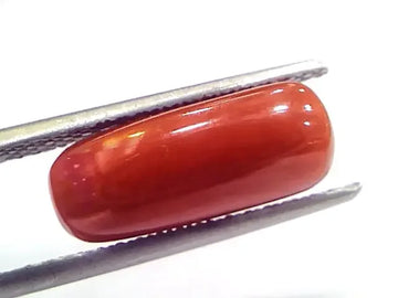 5.21 Ct 5.78 Ratti Natural Untreated Italian Red Coral Moonga Gems - Venus Gems