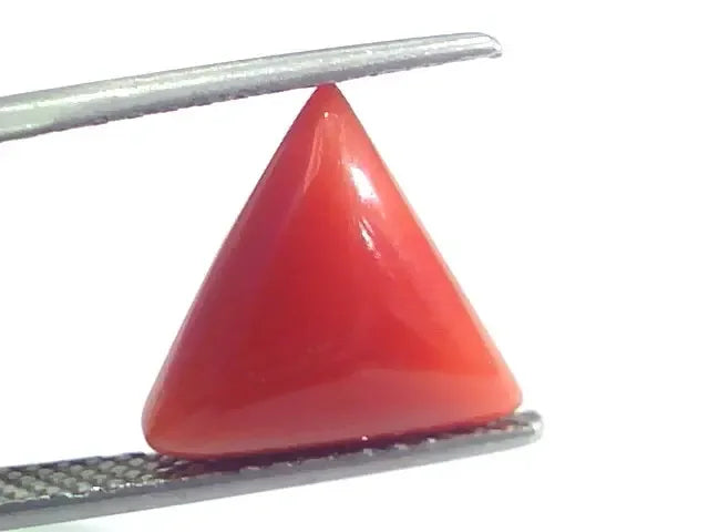 5.15 Ct 5.72 Ratti Natural Italian Triangle Red Coral Moonga Gemstone - Venus Gems
