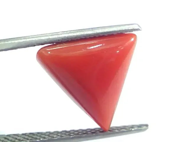 5.15 Ct 5.72 Ratti Natural Italian Triangle Red Coral Moonga Gemstone - Venus Gems
