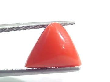 5.19 Ct 5.76 Ratti Natural Italian Triangle Red Coral Moonga Gemstone - Venus Gems