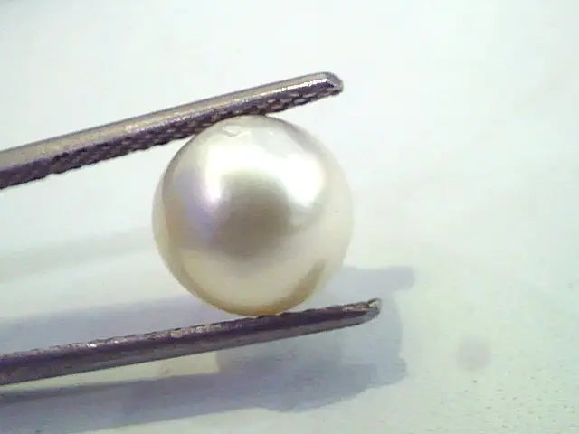 5.10 Carat Natural Certified Real South Sea Pearl,Certified Moti