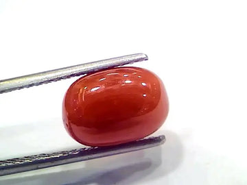 5.14 Ct 5.71 Ratti Natural Italian Red Coral Moonga Gemstone