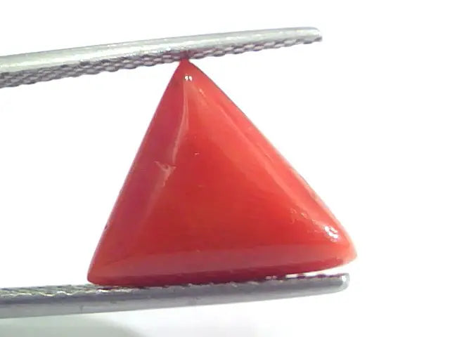 5.20 Ct 5.77 Ratti Natural Italian Triangle Red Coral Moonga Gemstone