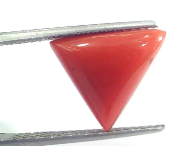 5.20 Ct 5.77 Ratti Natural Italian Triangle Red Coral Moonga Gemstone