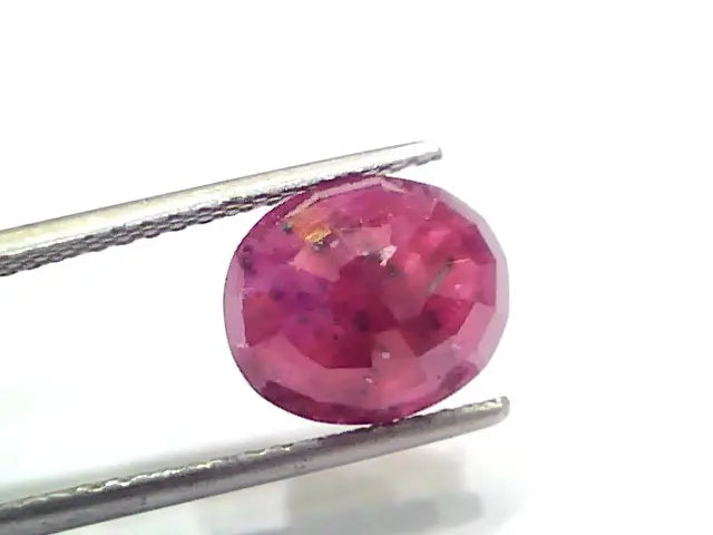 5.26 Ct Certified Unheated Untreated Natural New Burma Ruby