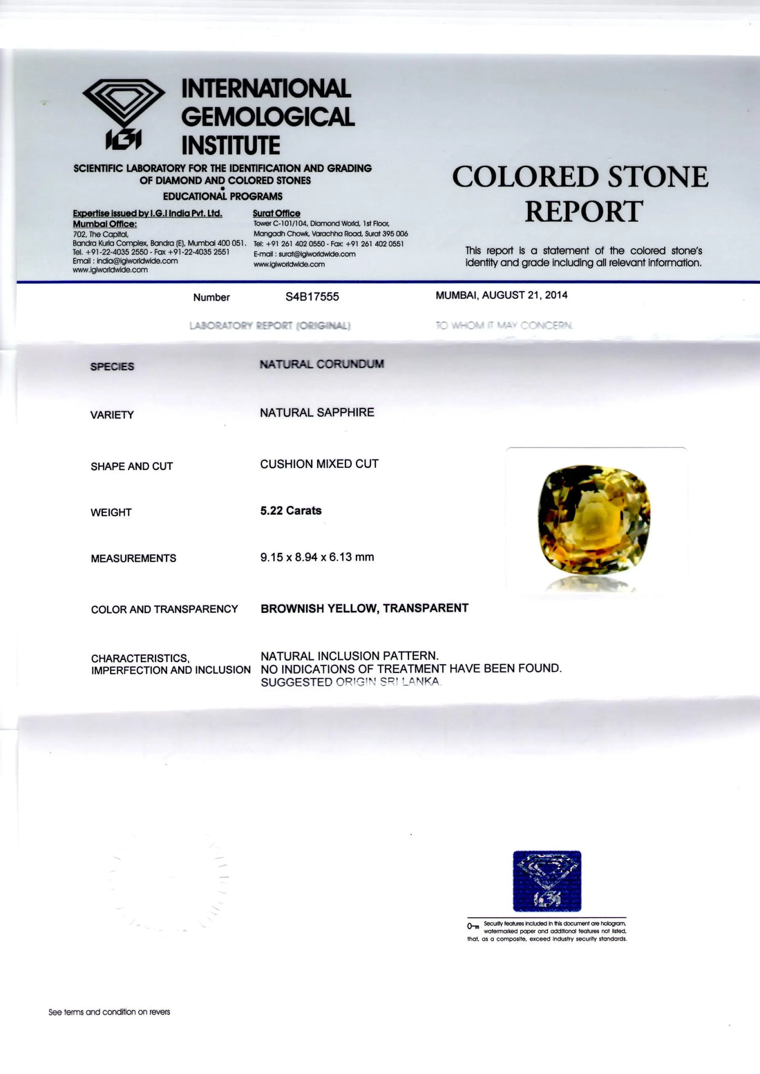 5.22 Ct Pitambari Pukhraj | Natural Yellow Blue Sapphire Unheated - Venus Gems