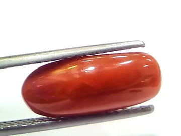 5.33 Ct 8.8 Ratti Natural Untreated Italian Red Coral Moonga Gems
