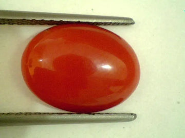 3.70 Ct Untreted Natural Japan Red Coral Gems,Real Moonga