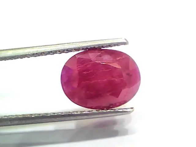 5.32 Ct Certified Unheated Untreated Natural New Burma Ruby