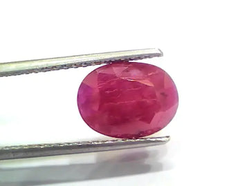 5.32 Ct Certified Unheated Untreated Natural New Burma Ruby