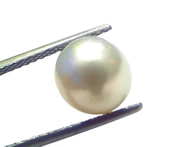 5.32 Ct Natural Certified Real South Sea Pearl Certified Moti - Venus Gems