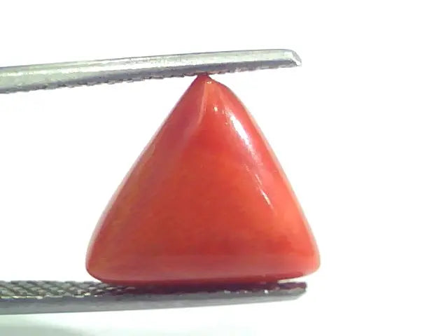 5.35 Ct 8.9 Ratti Natural Italian Triangle Red Coral Moonga Gemstone
