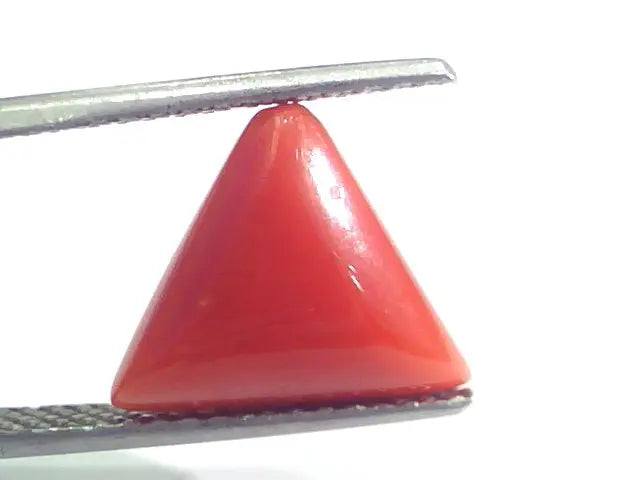 5.37 Ct 5.96 Ratti Natural Italian Triangle Red Coral Moonga Gemstone