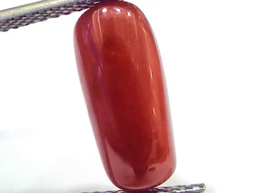 5.42 Ct 9 Ratti Natural Untreated Italian Red Coral Moonga Gemstone
