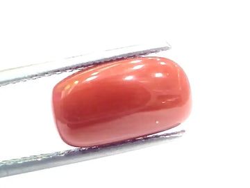 5.40 Ct 9 Ratti Natural Italian Red Coral Moonga Gemstone