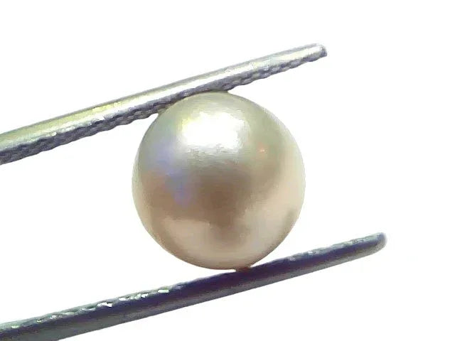 5.44 Ct Natural Certified Real South Sea Pearl Certified Moti - Venus Gems