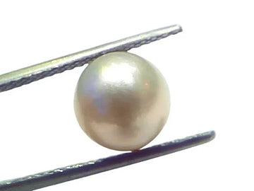 5.44 Ct Natural Certified Real South Sea Pearl Certified Moti - Venus Gems