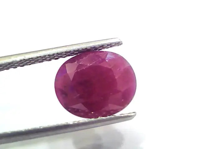 5.55 Ct Certified Unheated Untreated Natural New Burma Ruby