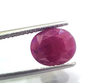 5.55 Ct Certified Unheated Untreated Natural New Burma Ruby