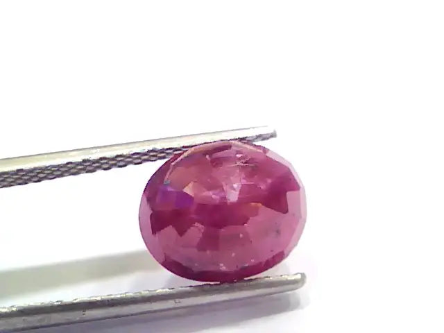 5.55 Ct Certified Unheated Untreated Natural New Burma Ruby