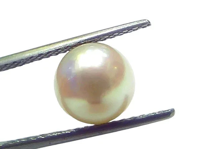 5.46 Ct Natural Certified Real South Sea Pearl Certified Moti - Venus Gems