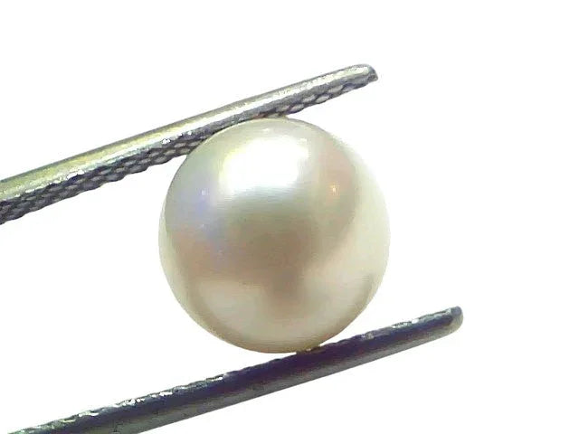 5.48 Ct Natural Certified Real South Sea Pearl Certified Moti - Venus Gems