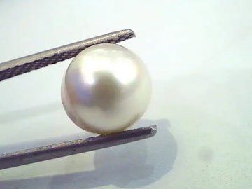 5.29 Carat Natural Certified Real South Sea Pearl,Certified Moti
