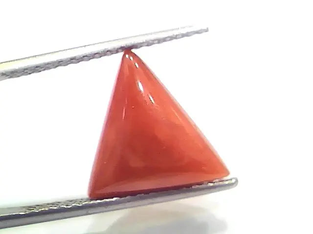 5.52 Ct 6.13 Ratti Natural Italian Triangle Red Coral Moonga Gemstone