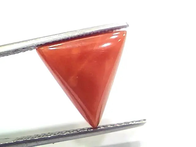 5.52 Ct 6.13 Ratti Natural Italian Triangle Red Coral Moonga Gemstone