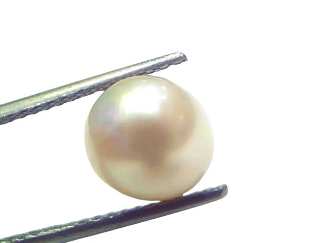 5.58 Ct Natural Certified Real South Sea Pearl Certified Moti