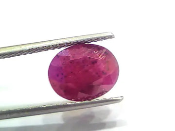 5.62 Ct Certified Unheated Untreated Natural New Burma Ruby