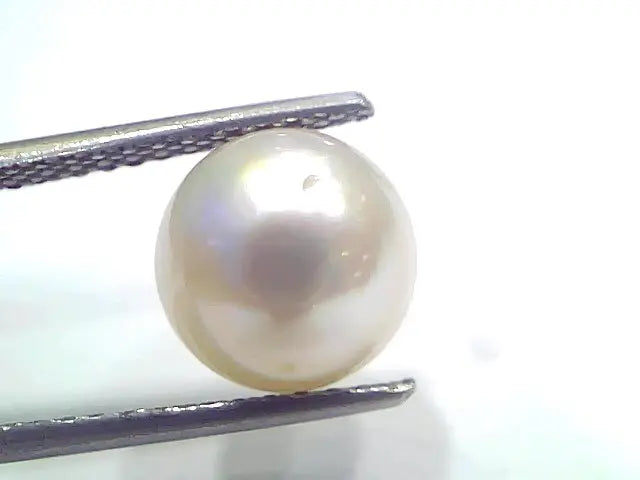 5.53 Ct Natural Certified Real South Sea Pearl Certified Moti
