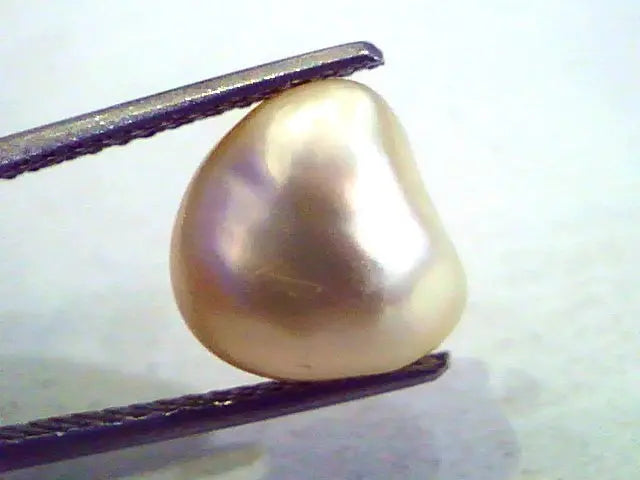 5.64 Ct-20.74 Chaw Natural Certified Real Pearl,Real Moti *RARE*